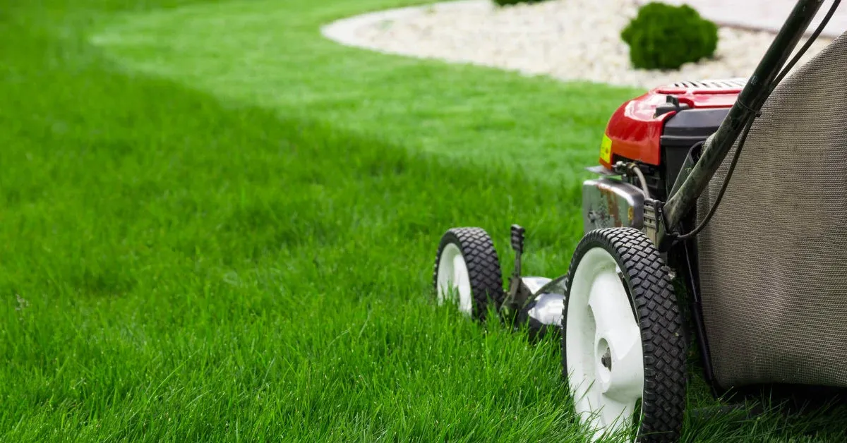 Jardim profissional em Lisboa — RB Espaços Verdes