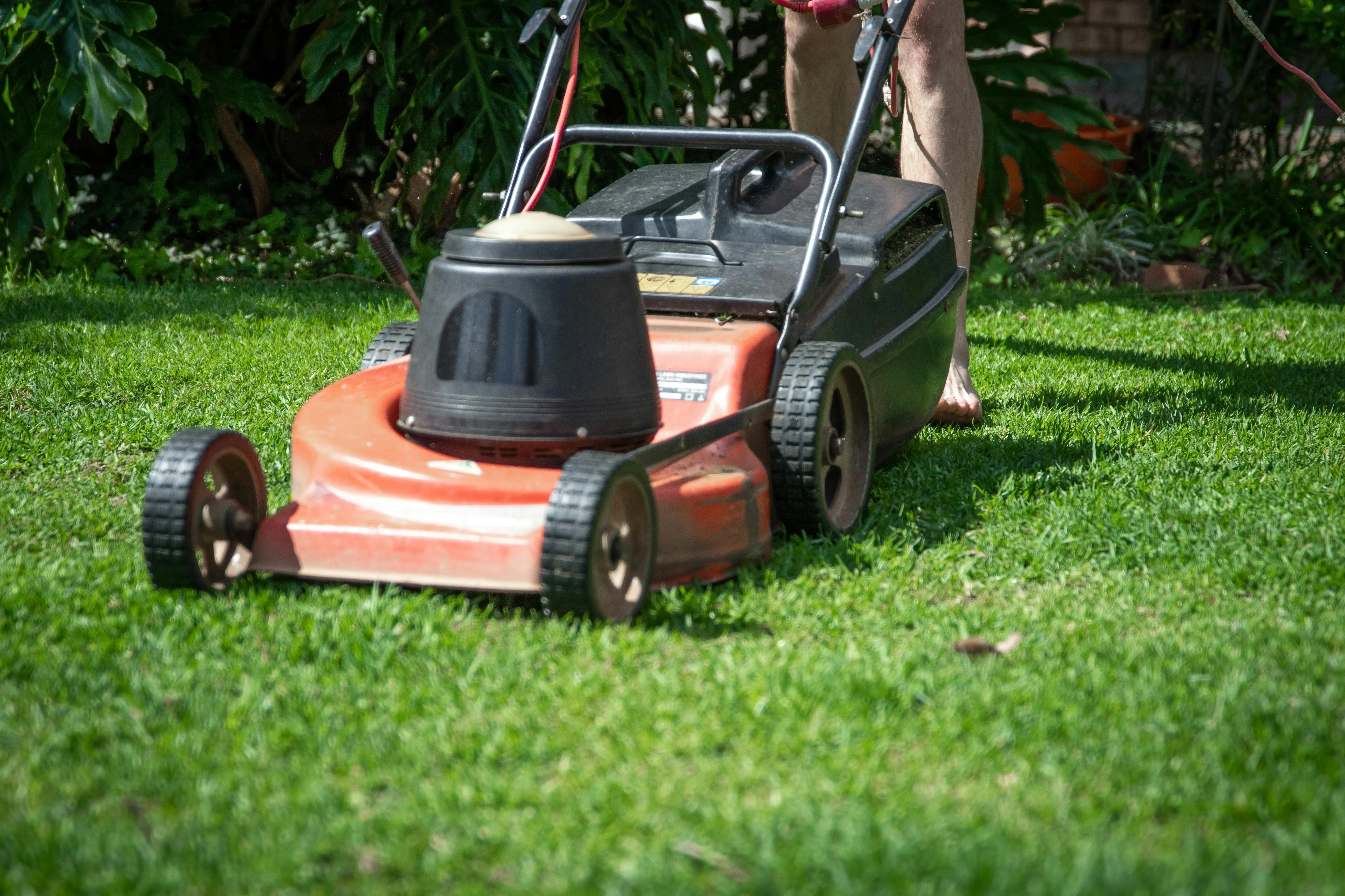 Manutenção de Jardins em Lisboa e Região — RB Espaços Verdes